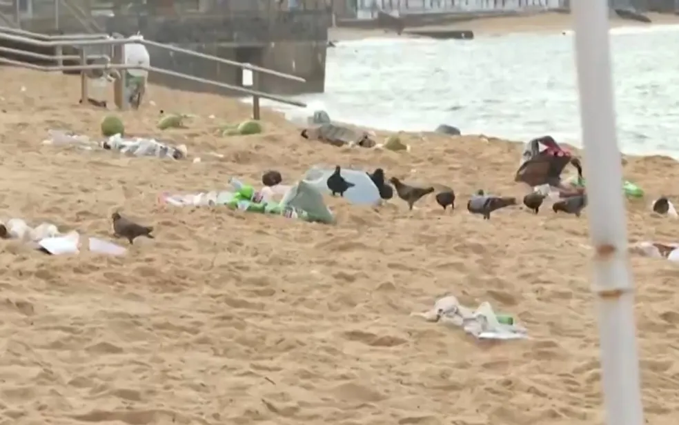 Imagem ilustrativa da imagem Verão aumenta geração de lixo e impacta turismo na Bahia