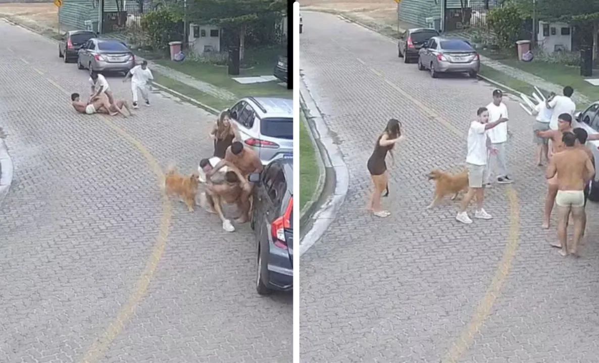Imagem ilustrativa da imagem VÍDEO: Jogadores do Fortaleza se envolvem em briga com vizinhos