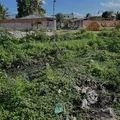 Feira poderá usar câmeras para multar descarte irregular de lixo imagem