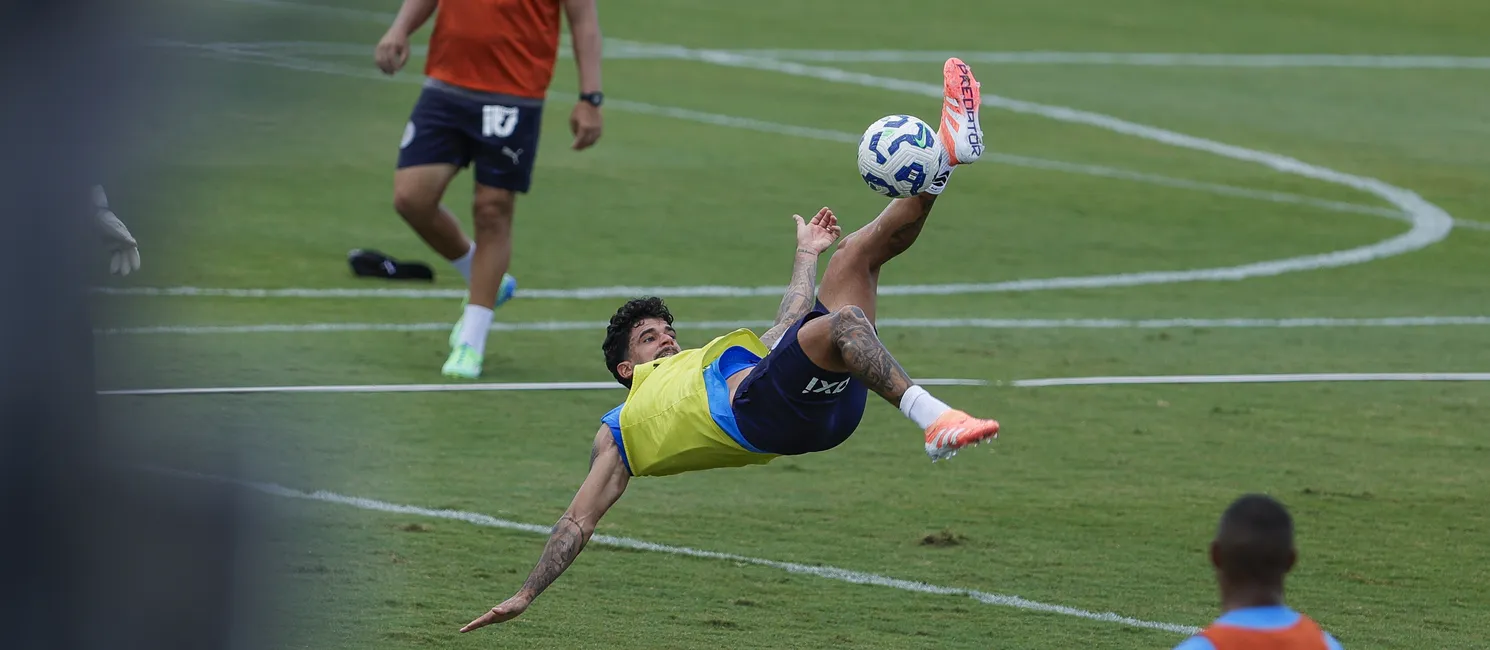 Imagem ilustrativa da imagem De mago do Esquadrão a craque descartável no Bahia de Rogério Ceni
