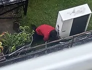 Celulares furtados foram recuperados