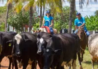 Fundação oferece curso técnico gratuito em Feira de Santana