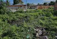 Feira poderá usar câmeras para multar descarte irregular de lixo