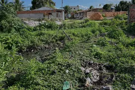 Feira poderá usar câmeras para multar descarte irregular de lixo - Imagem