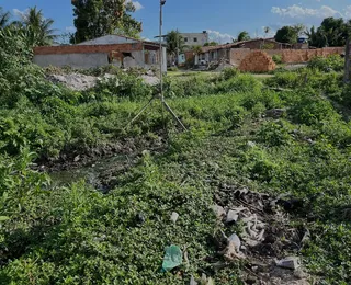 Feira poderá usar câmeras para multar descarte irregular de lixo