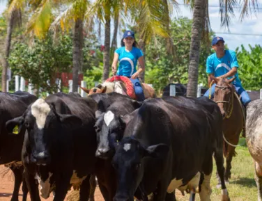 Fundação oferece curso técnico gratuito em Feira de Santana - Imagem
