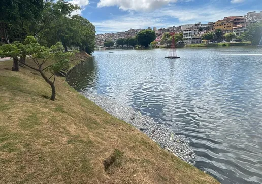 Patrulha da GCM pelas ruas de Salvador (ilustração)