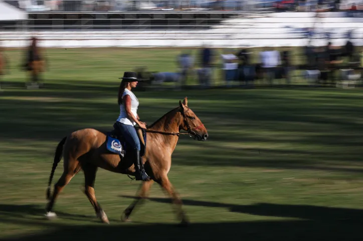 FENAGRO 2025
Abertura oficial da FENAGRO 2025 com o governador Jeronimo Rodrigues. 
Na foto, equino
Foto: Raphael Muller / Ag. A TARDE
Data: 30/11/2025