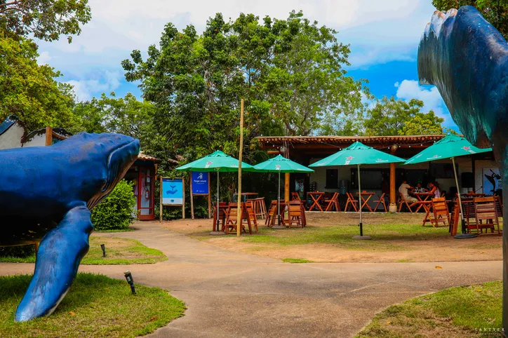 Espaço Baleia Jubarte