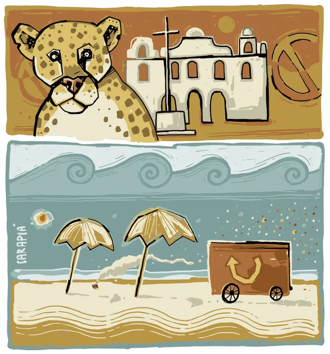 Confira a crônica deste domigo