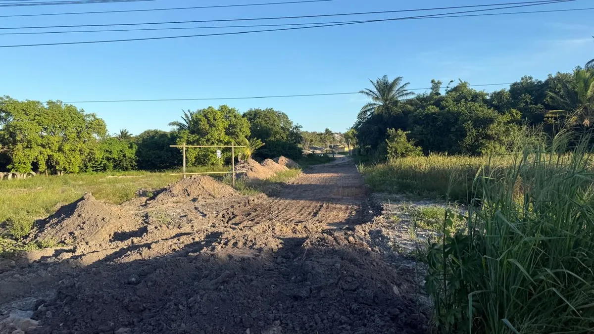 Abertura de acesso em área de vegetação é uma das denúncias investigadas em Abrantes