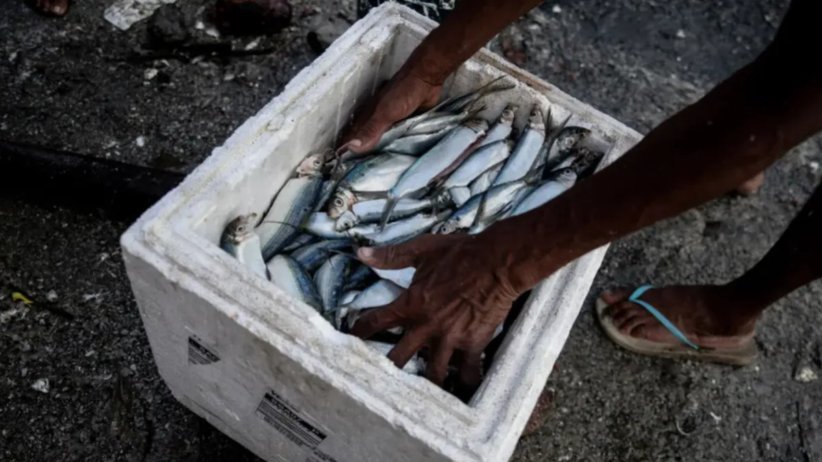 Nova legislação regulamenta as atividades em águas continentais e costeiras