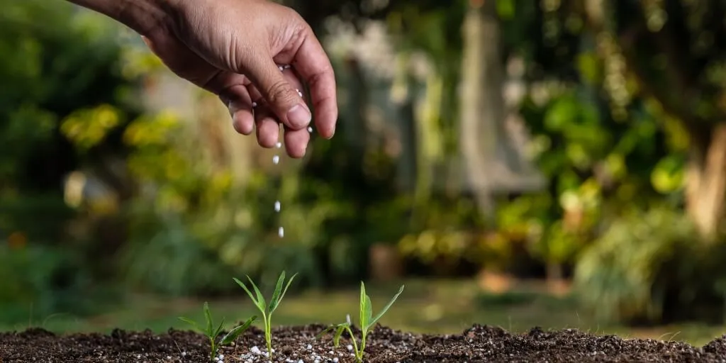 Imagem ilustrativa da imagem Bahia pode viver crise de fertilizantes
