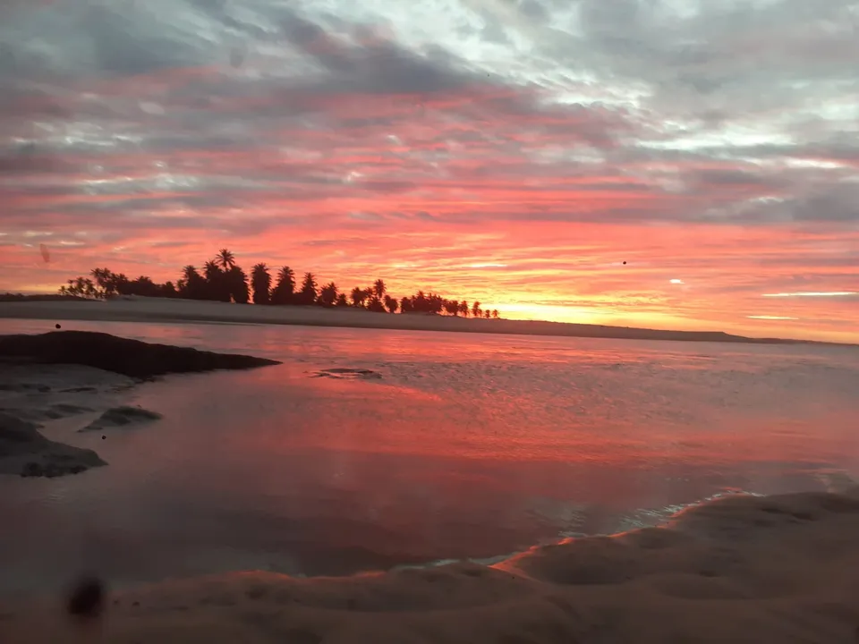 Membro foi encontrado na areia da Praia do Baixo Grande, em Paracuru
