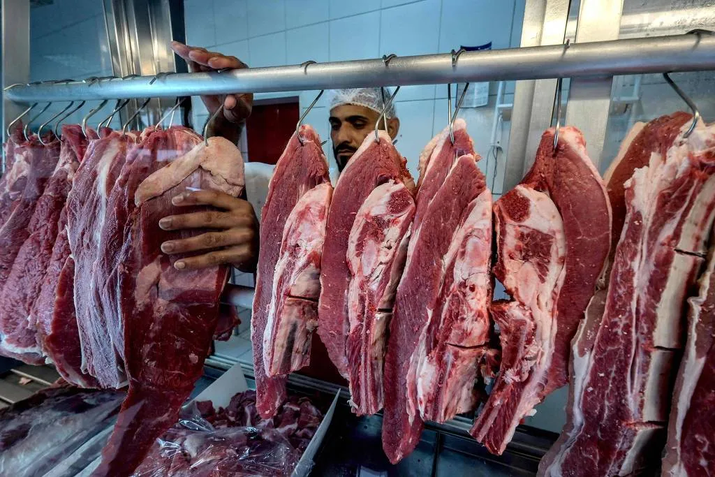 Imagem ilustrativa da imagem Brasil tenta reverter bloqueio da UE às exportações de carnes