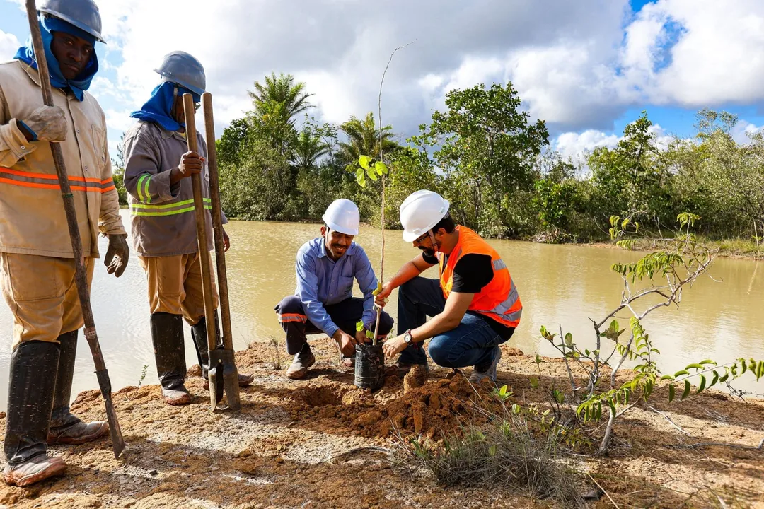 Mudas plantadas foram de Caju, ipê, jacarandá e pitanga
