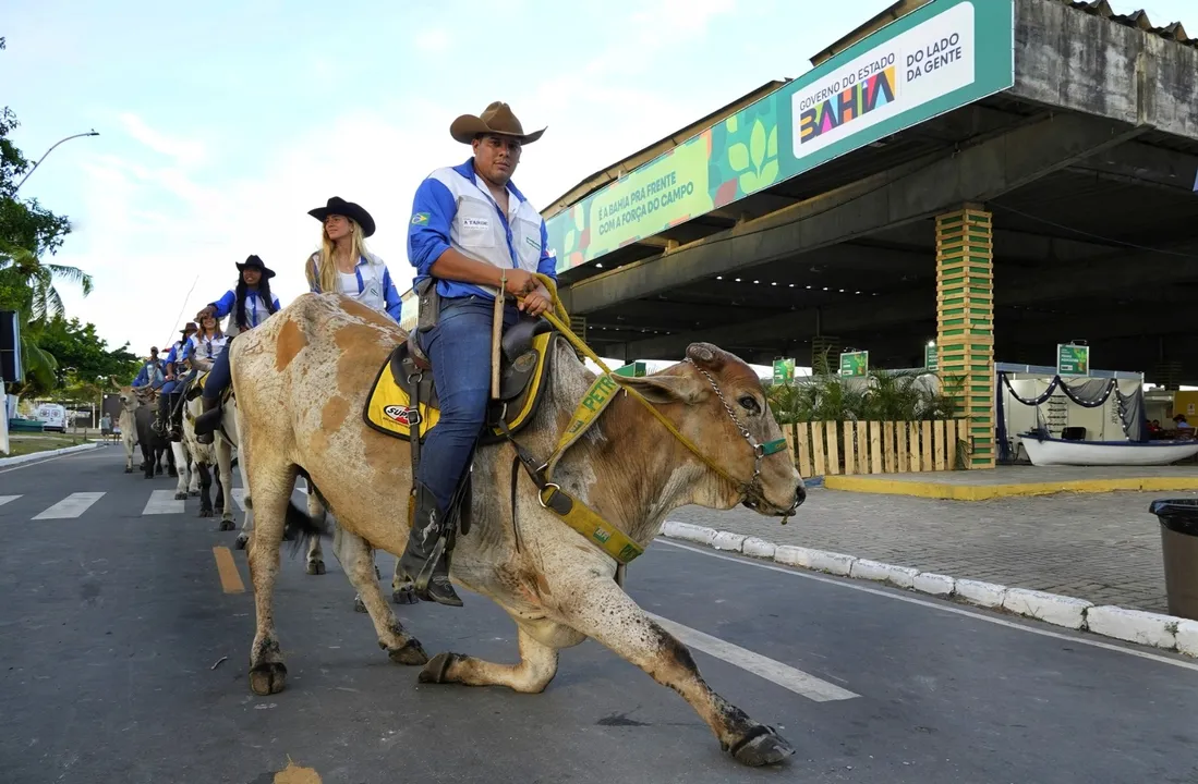 Feiras e exposições agropecuárias na Bahia
