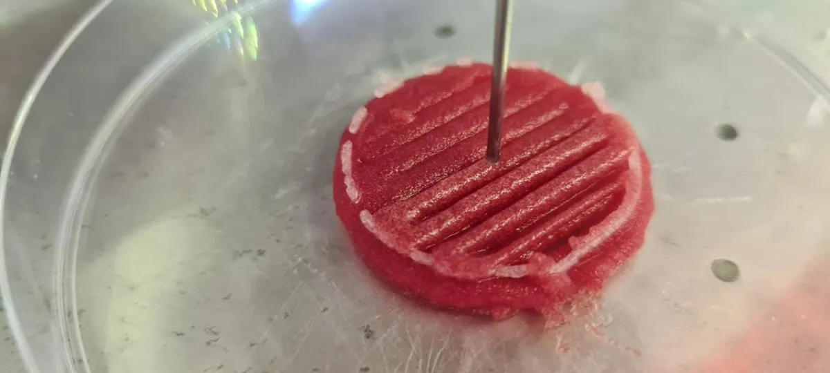 A carne do futuro e a carne cultivada foram produtos alternativos