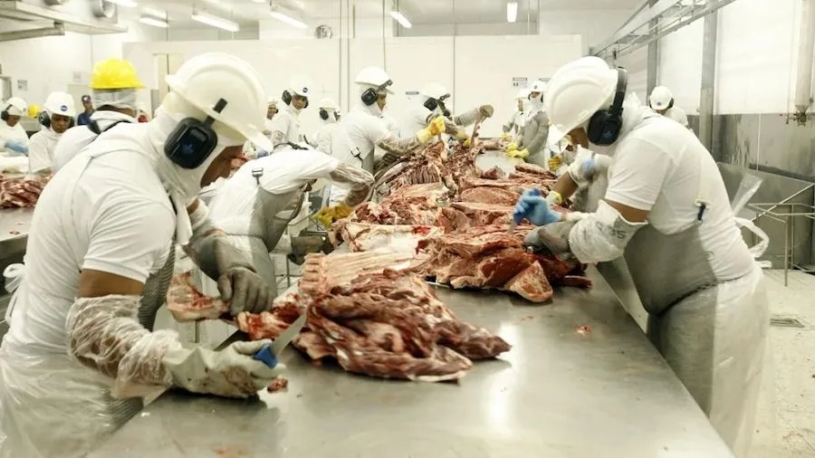 Imagem ilustrativa da imagem China suspende três frigoríficos brasileiros após verificar irregularidades
