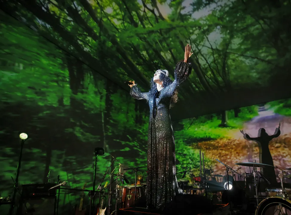 Cantora Marisa Monte