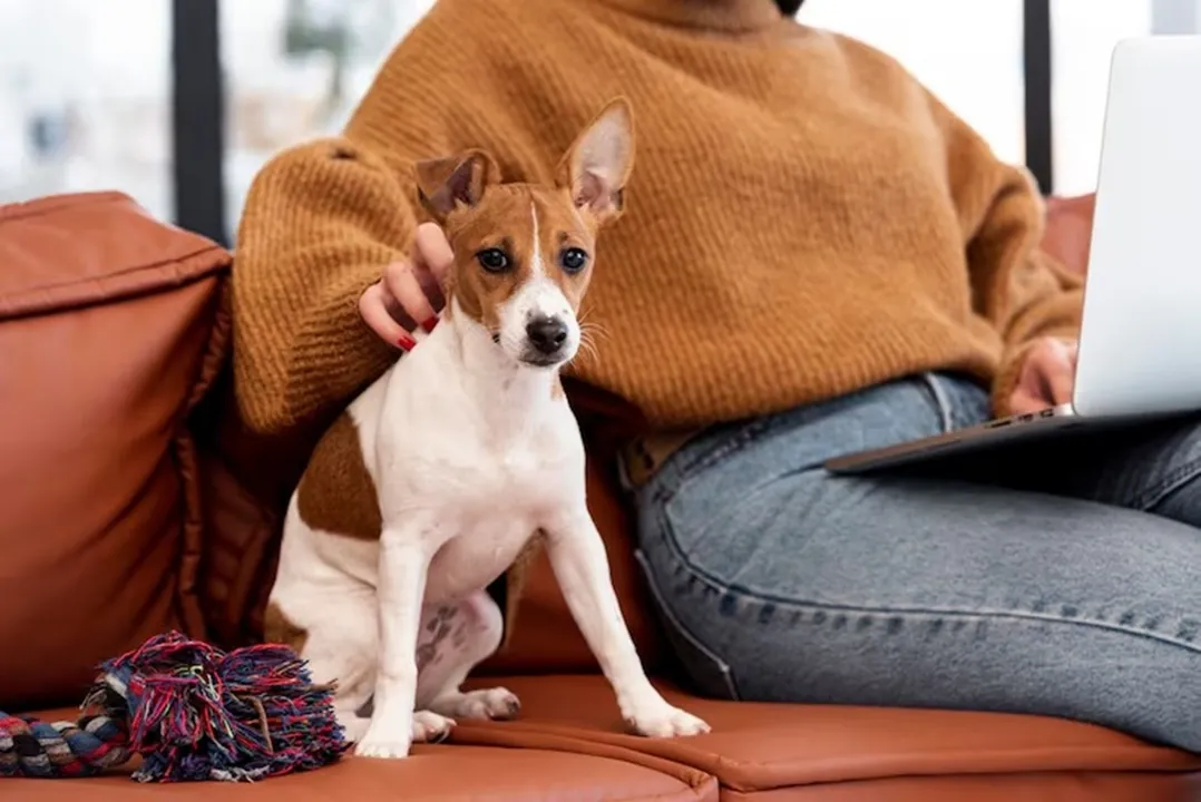 Caso vire lei, síndicos serão obrigados a acionar a Polícia Civil