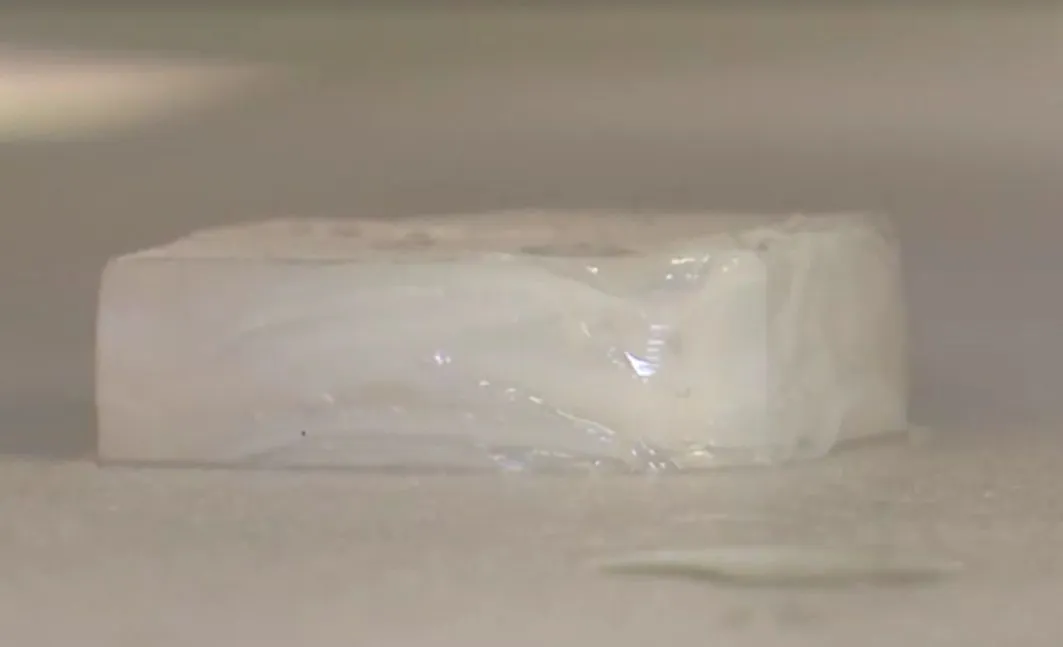 Resíduos de cerveja transformados em estruturas comestíveis