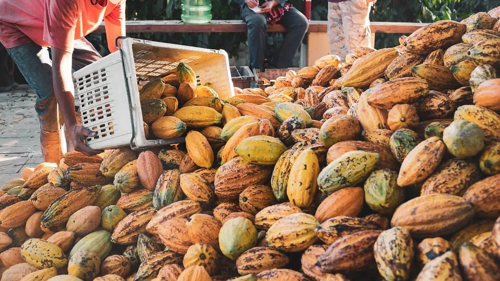 Representantes do setor avaliam que a flexibilização das regras para entrada do produto estrangeiro impactou preços e aumentou a pressão sobre a produção nacional