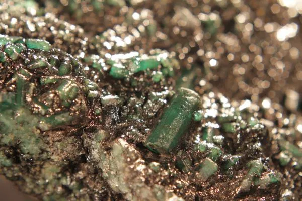 A peça preciosa foi apelidada como Selena