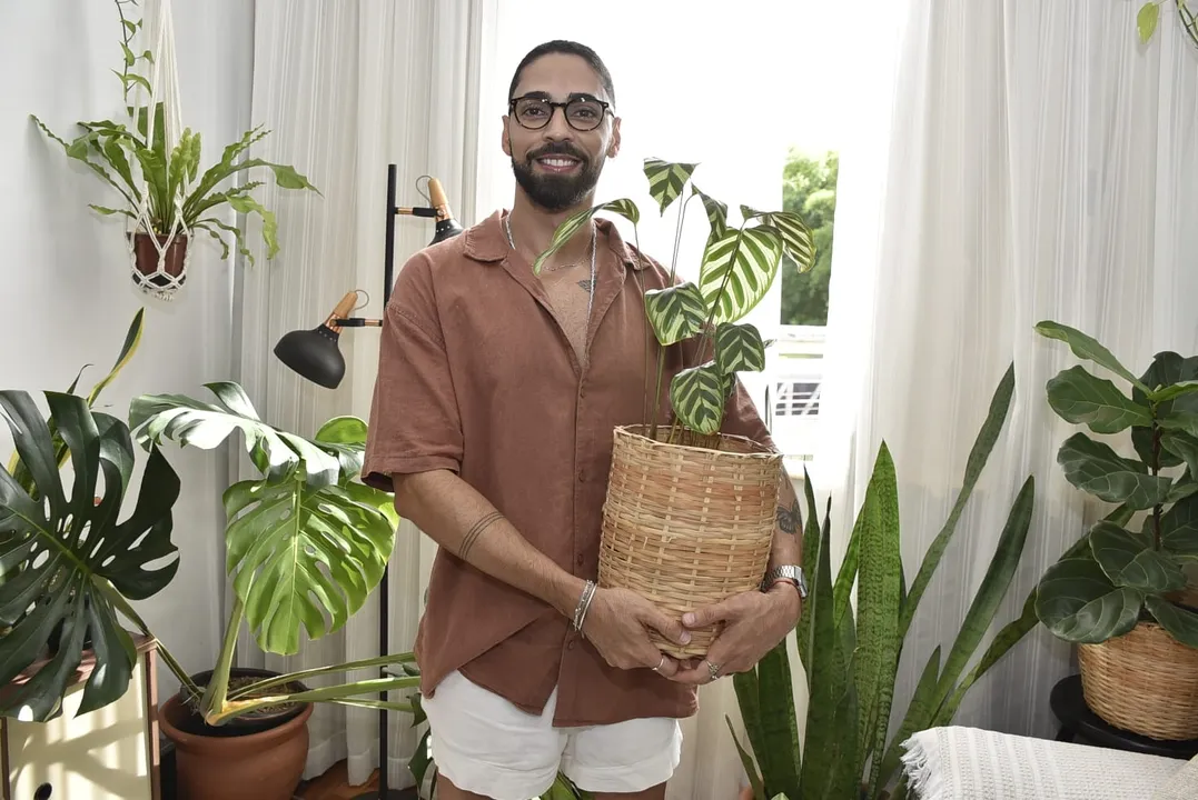 Natureza na sala: a tendência de decoração que virou refúgio contra o estresse urbano