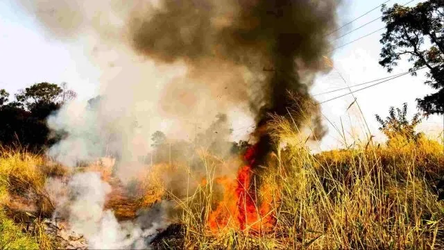 Idoso morreu no local antes de receber atendimento médico