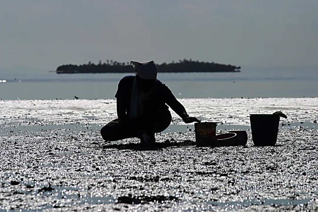 Marisqueira