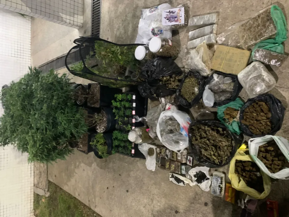 Todo o material foi encaminhado à Central de Flagrantes