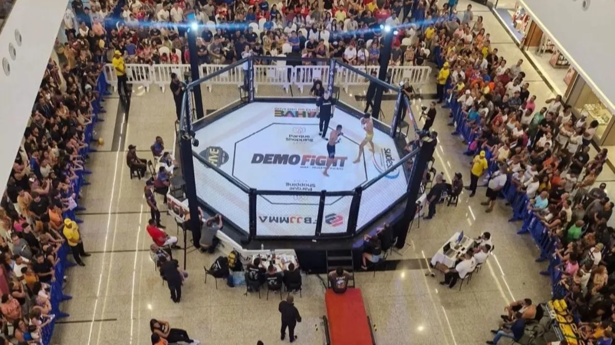Demo Fight