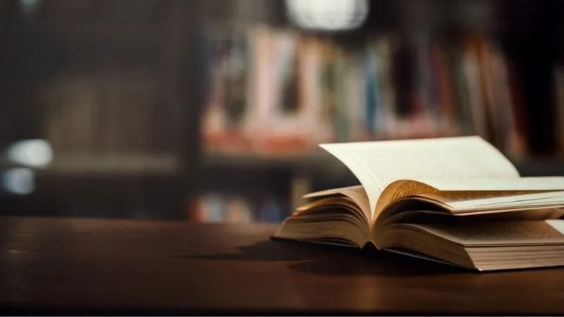 Imagem ilustrativa da imagem Os livros e a juventude