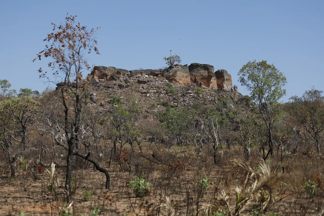 Vista do cerrado próximo à comunidade São Pedro, nos Gerais de Balsas