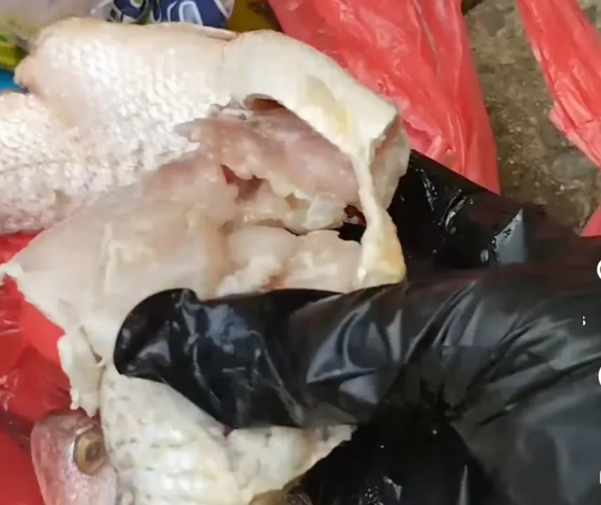 Moradores foram surpreendidos pelo odor forte e característico de carne deteriorada