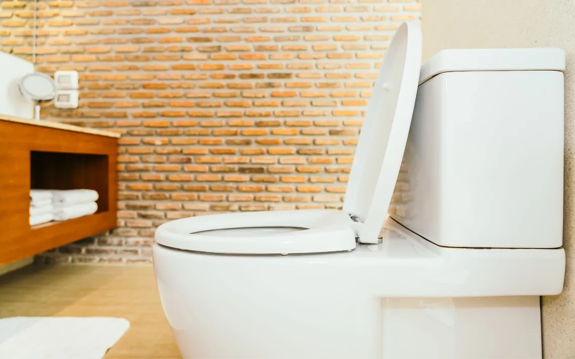 O vaso sanitário é apontado por muitos como o item mais sujo da casa