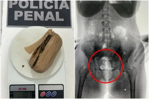 Droga estava nas partes íntimas da mulher