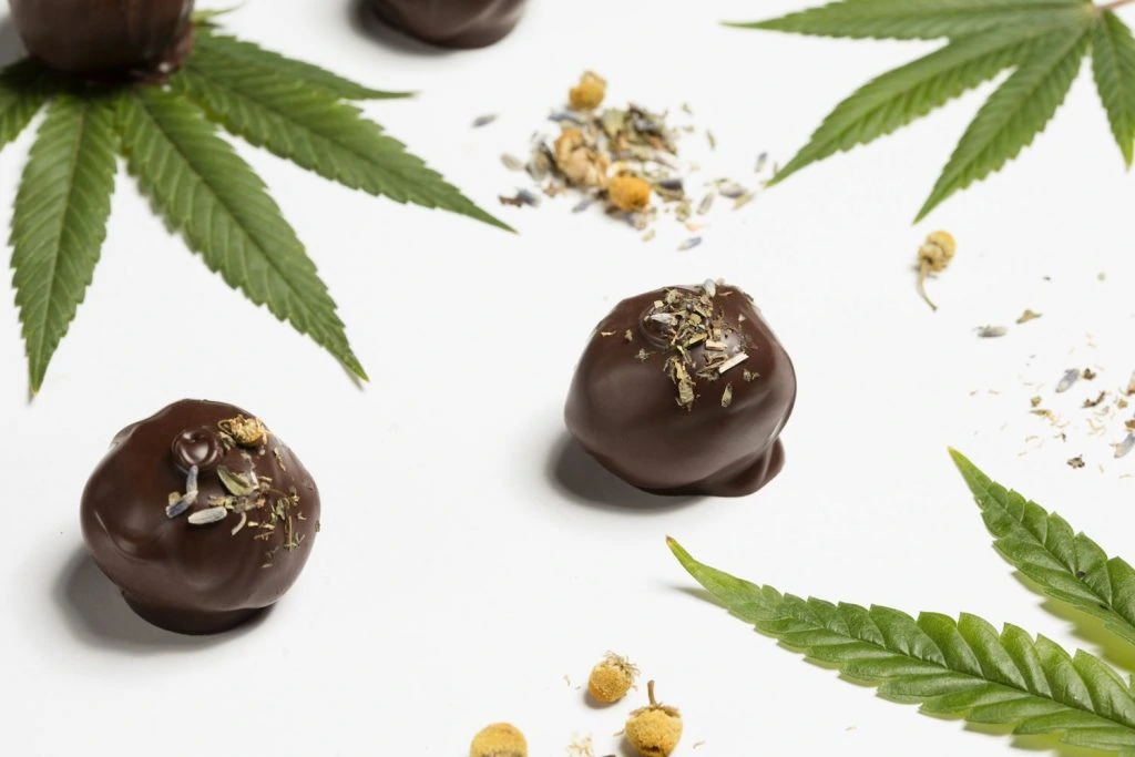 A jovem de 24 anos foi liberada nesta quarta-feira após audiência de custódia.