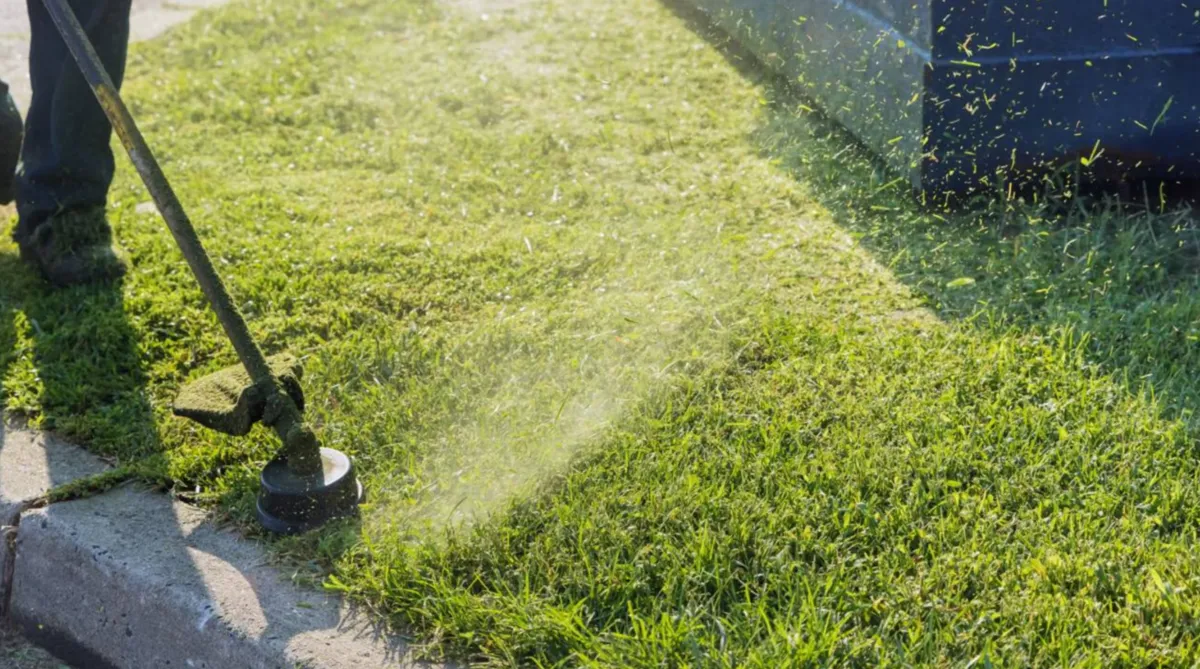 Cortar grama entre 12h e 16h pode virar infração