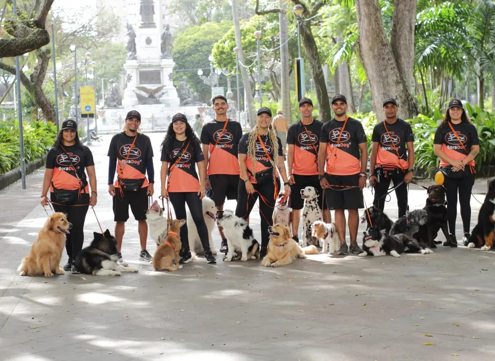 A equipe da Bora Dog é responsável por realizar passeios estruturados dos cães em Salvador
