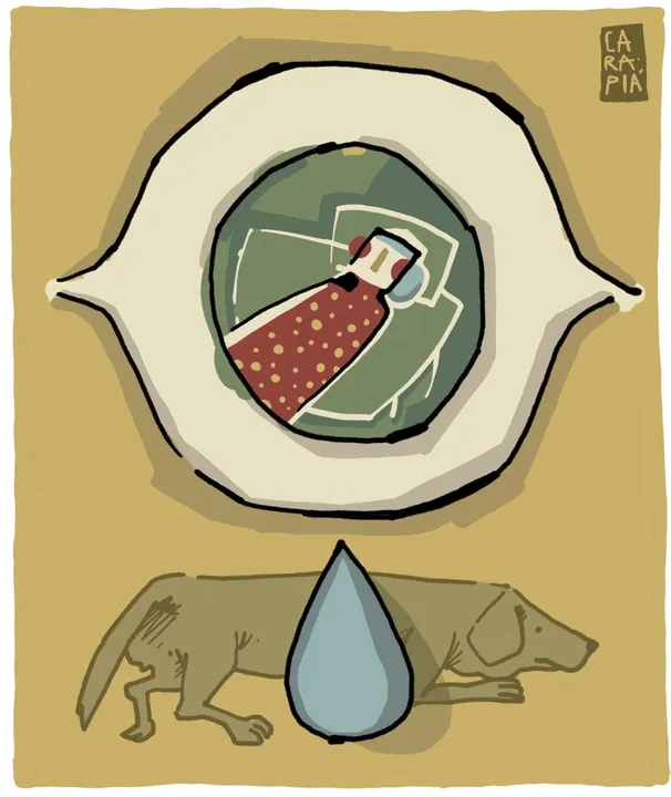 Imagem ilustrativa da imagem O que acontece quando os filhos partem? Crônica sobre a velhice esquecida