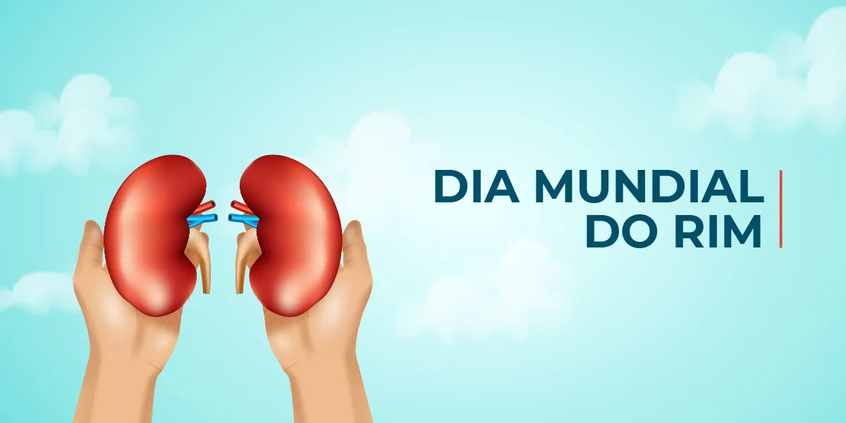 Imagem ilustrativa da imagem O rim e a vida