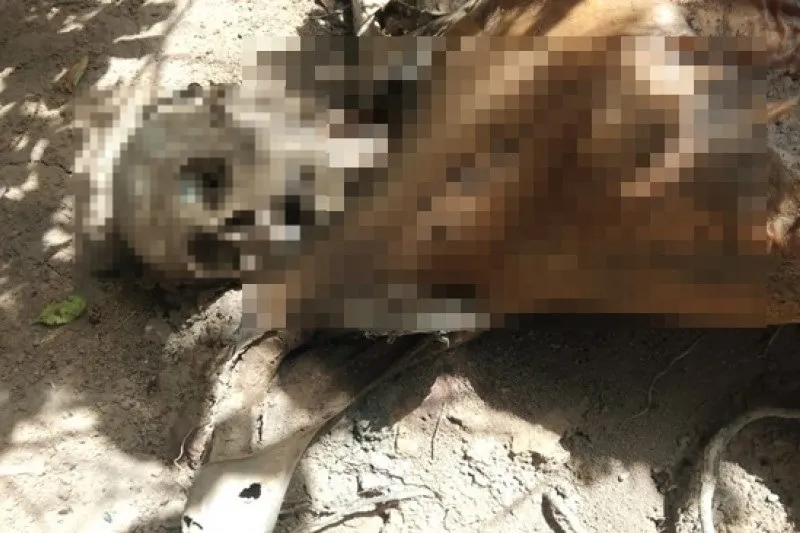 A polícia ainda tenta identificar a vítima