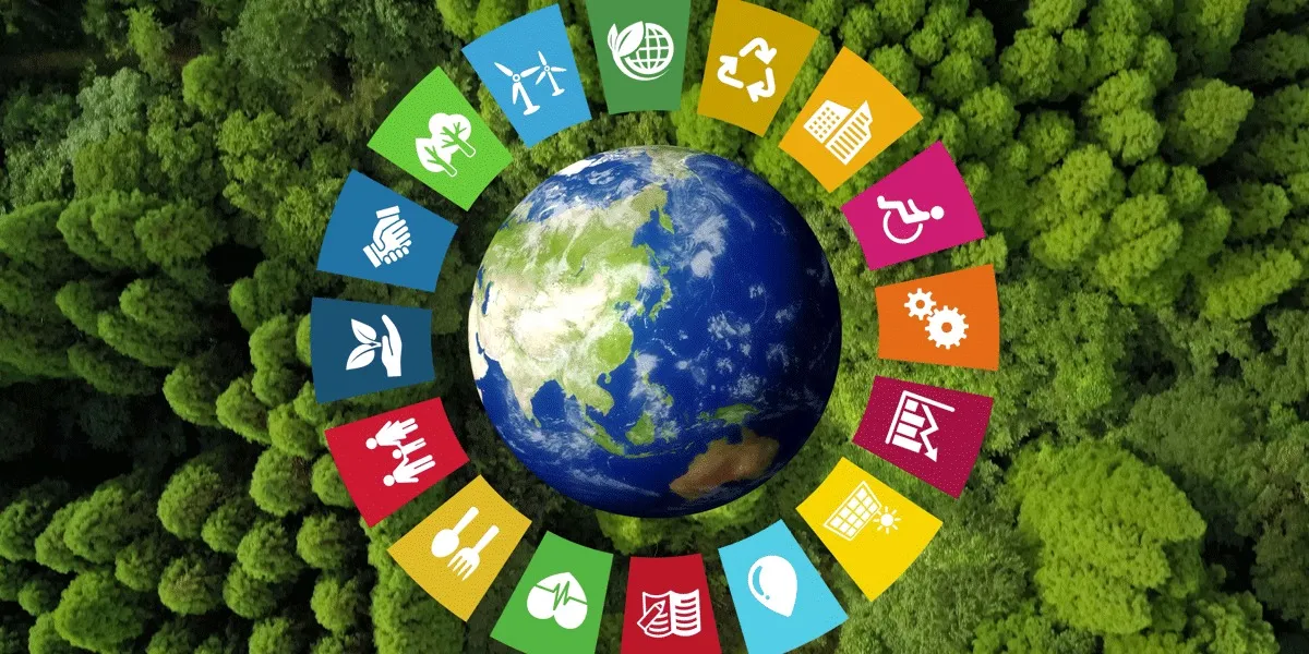 Imagem ilustrativa da imagem Pontos cegos na pesquisa global de sustentabilidade