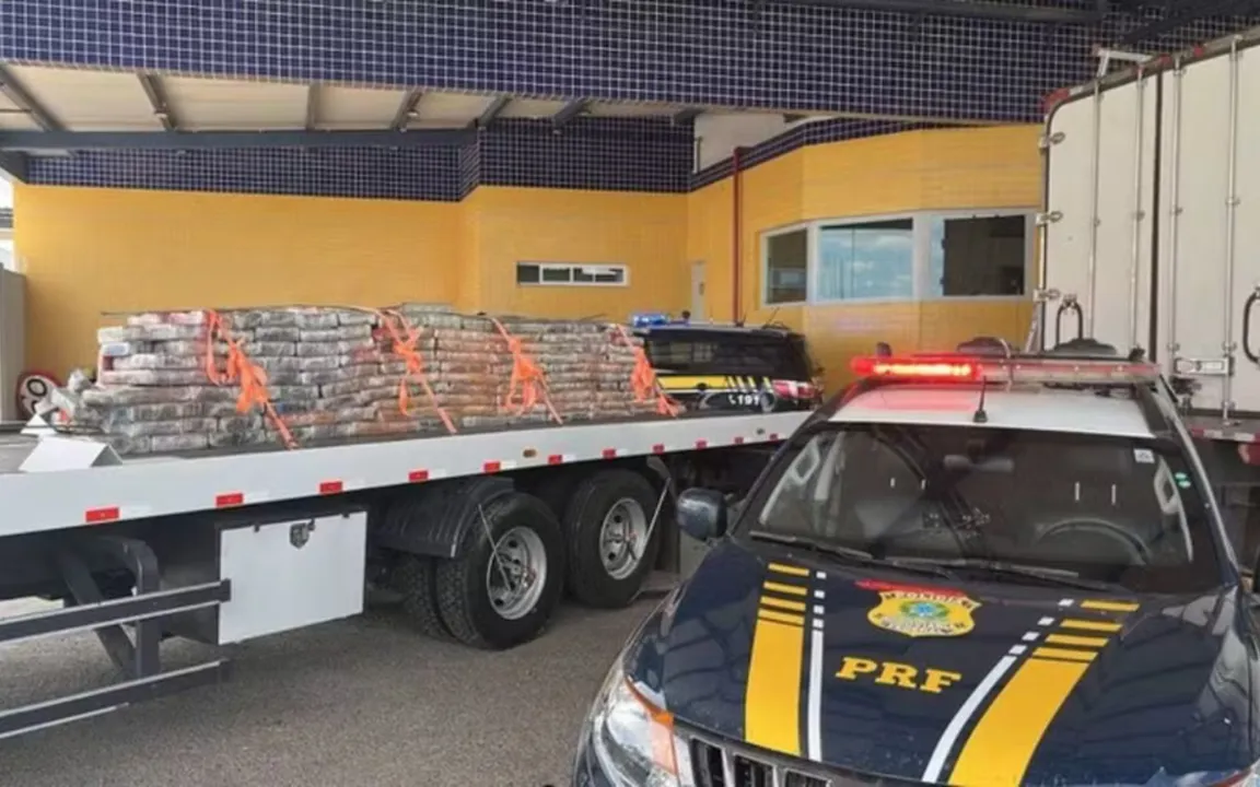 A apreensão foi relizada em um trecho específico da rodovia