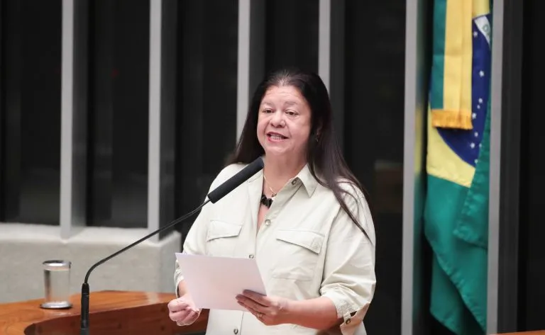 Laura Carneiro, relatora do projeto