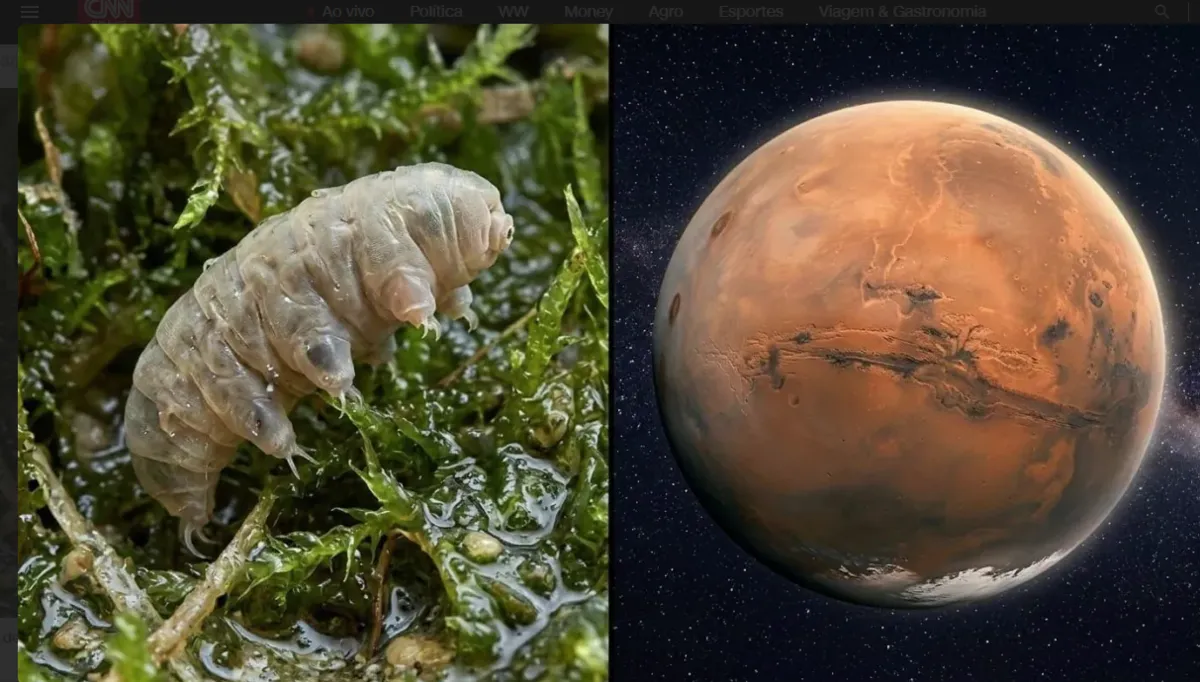 Cientistas trabalharam com dois tipos de solo artificial