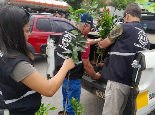 São oferecidas 200 vagas