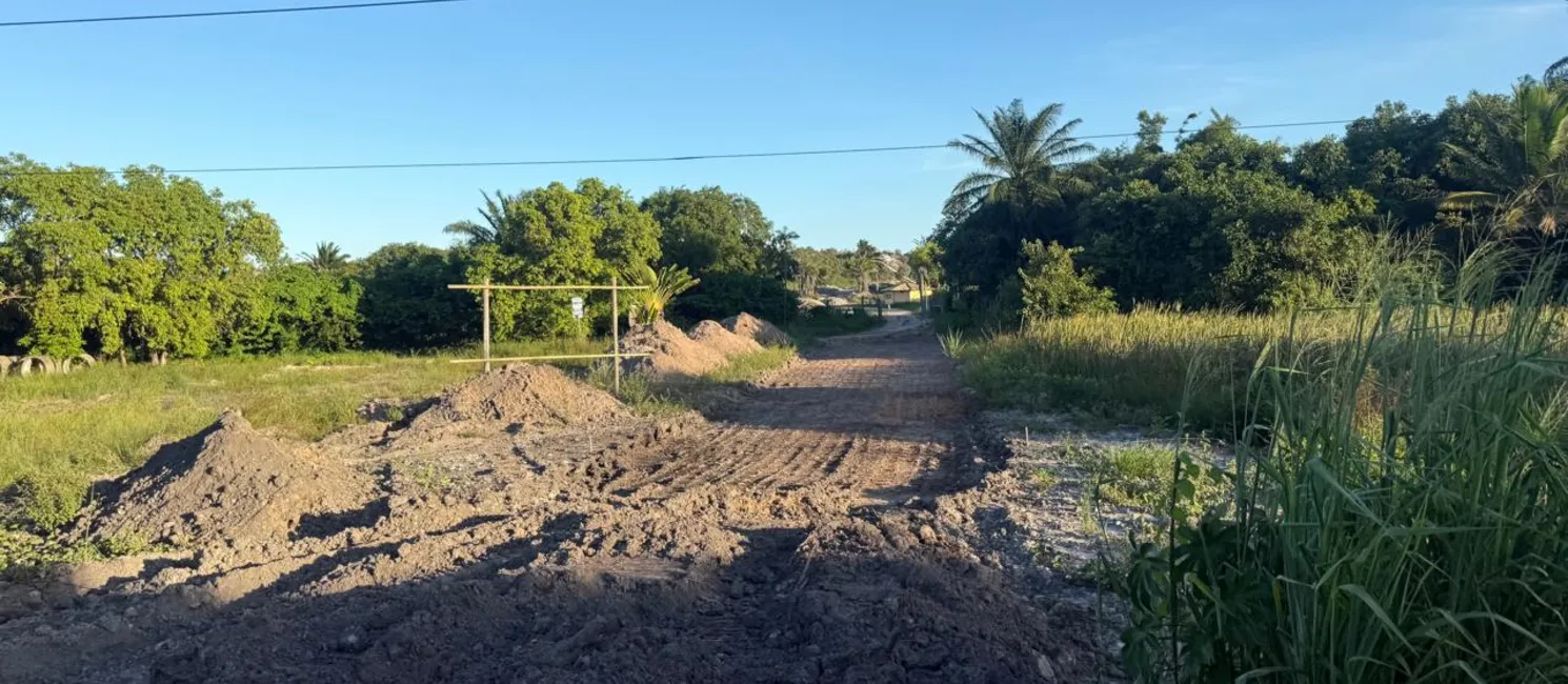 Abertura de acesso em área de vegetação é uma das denúncias investigadas em Abrantes
